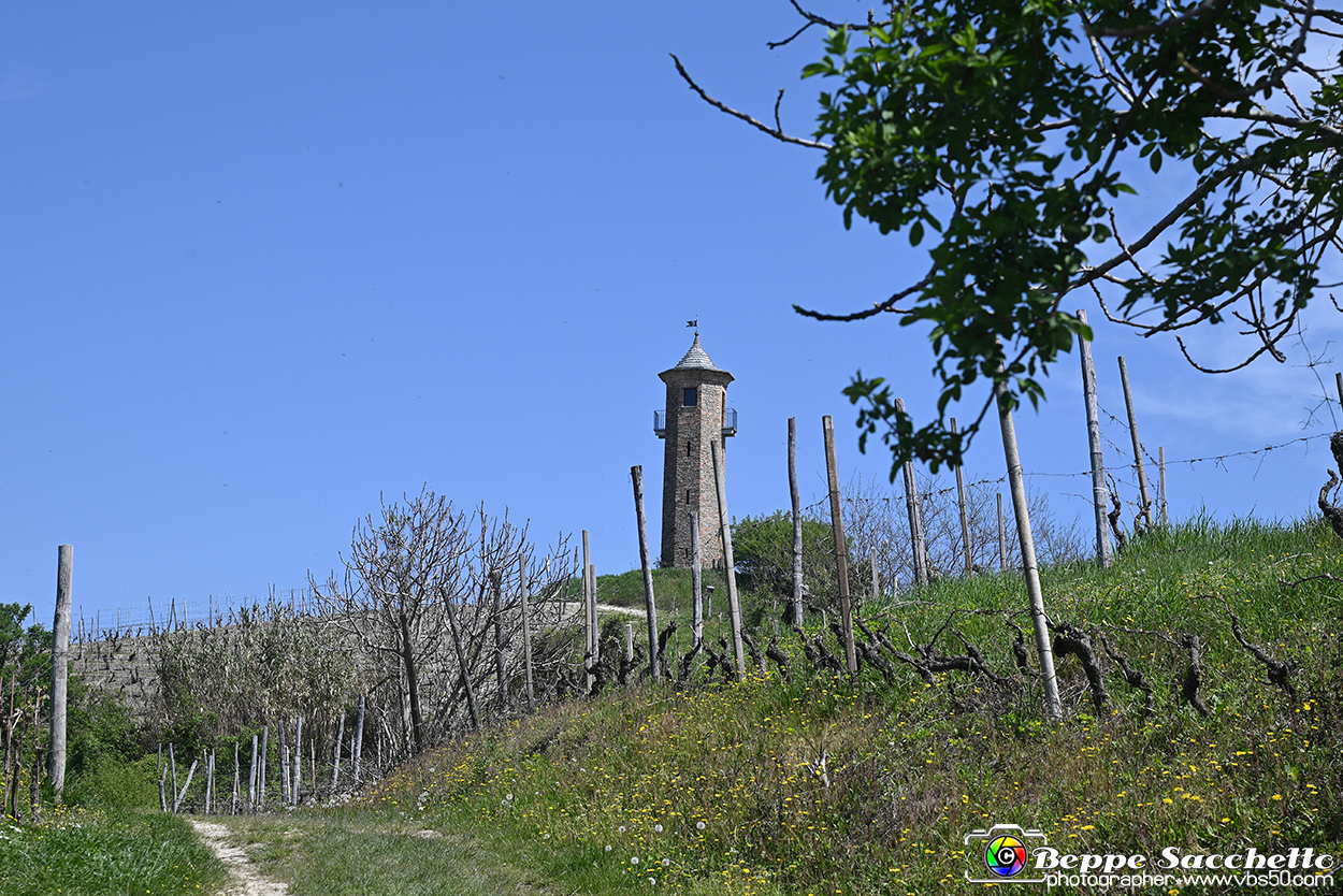 VBS_0975 - Torre dei Contini - Canelli (AT).jpg